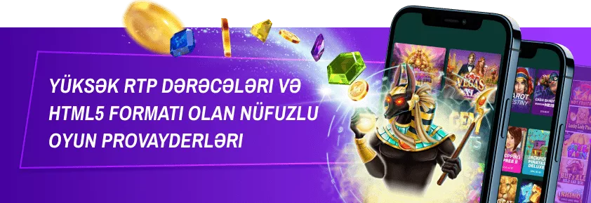 Proqram Təminatçıları