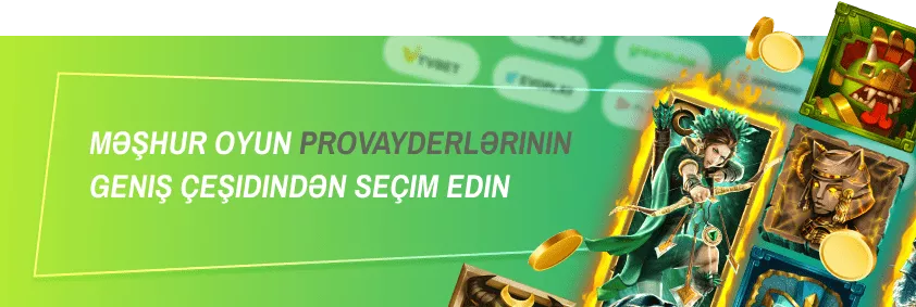 Proqram Təminatçıları